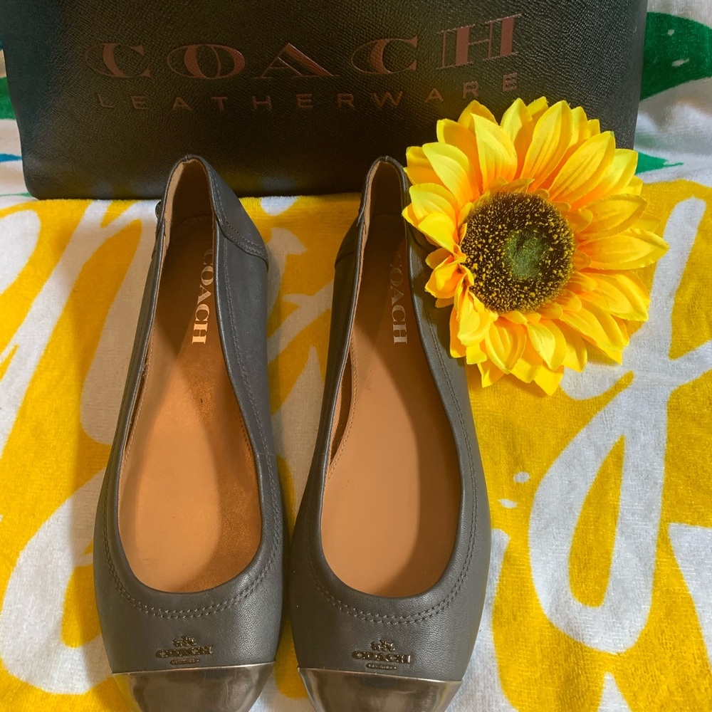 Coach Chelsea Matte Navy Blue & Gunmetal Flats